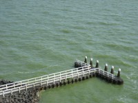 /album/fotogallerij/a2012-08-13-13-43-46-0020-jpg/